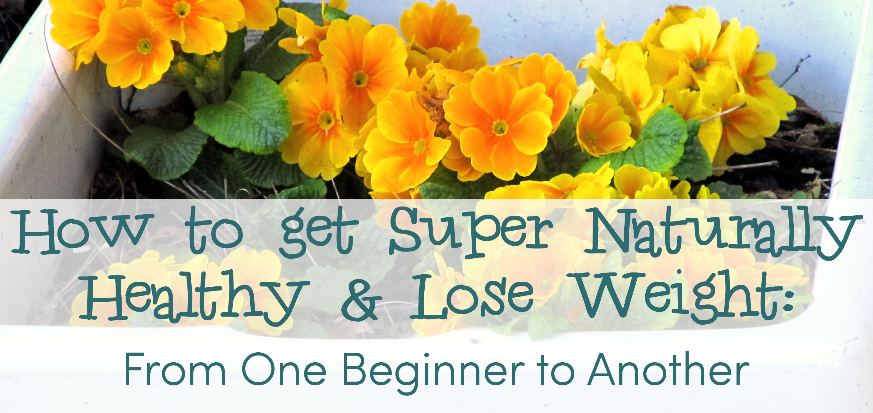 How to get Super Naturally Healthy & Lose Weight: From One Beginner to Another